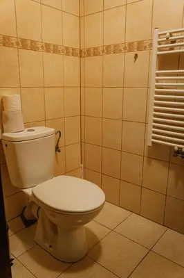 a bathroom with a white toilet in a room at Domek Zacisze Zator Graboszyce in Graboszyce