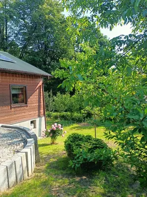 a yard with a house and a tree at Drewniany domek na wynajem Beskid Wyspowy in Limanowa