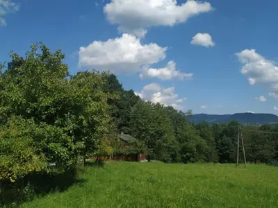 a field of green grass with a house in the background at Drewniany domek na wynajem Beskid Wyspowy in Limanowa