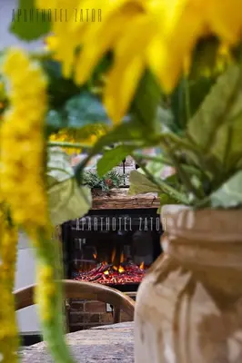 a vase of flowers on a table with a fireplace at Aparthotel ZATOR Natural 56 jacuzzi in Zator