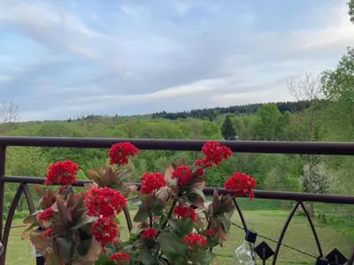a pot of red flowers sitting on a railing at Zaciszny zakątek pod Różą in Skawinki