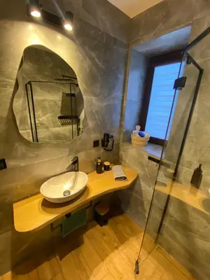 a bathroom with a sink and a shower at Zander Village Zator in Palczowice