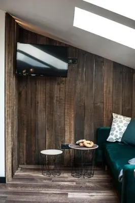a living room with a green couch and a flat screen tv at Studio with an AC - Dietla 51 street in Kraków
