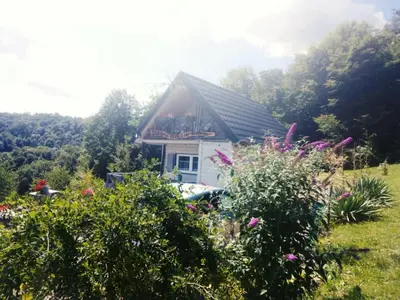 a house with a roof with flowers in a yard at Domek na Brzeziu in Limanowa