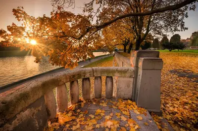 a park bench with leaves on it next to a lake at WANNA SPA na Starym Mieście in Kraków