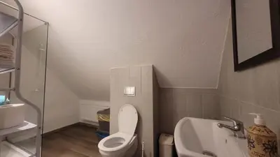 a small bathroom with a toilet and a sink at Chata Drapula - Gospodarstwo Agroturystyczne - Apartament na wyłączność z widokiem na góry i aneksem kuchennym in Zawadka