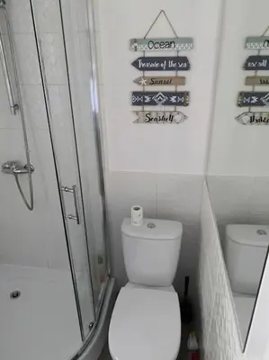 a small bathroom with a toilet and a shower at Bluszcz i Lawenda in Jankowice
