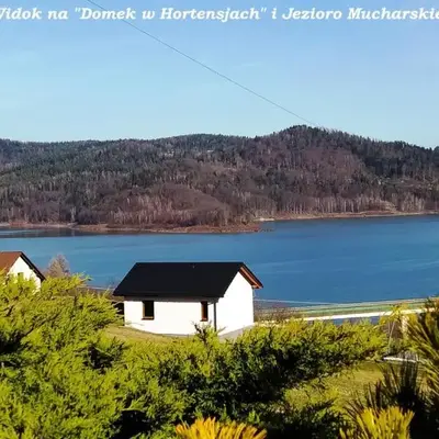 DOMEK W HORTENSJACH
