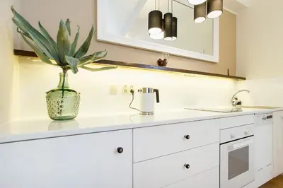 a white kitchen with a plant in a vase at Apartment for two-Jewish Quarter-Starowiślna 54 in Kraków
