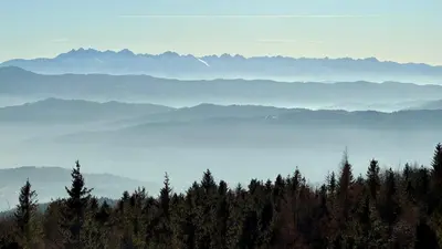 a view of a mountain range with trees in the foreground at Dom w Starym Sadzie z basenem i sauną - Beskid Wyspowy in Nowe Rybie