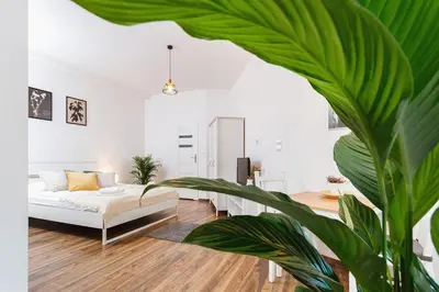 a white room with a bed and a plant at Studio for two - Starowiślna 54 in Kraków