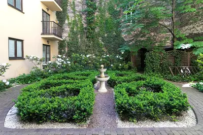 a garden with a vase in the middle of some bushes at Apartamenty Winnicy Kresy III in Kraków