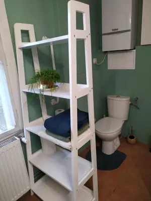 a white ladder shelf in a bathroom with a toilet at Dom pod Galazka in Bochnia