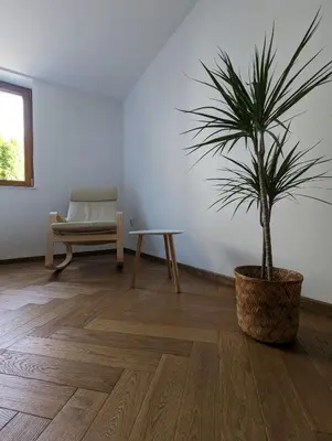 a living room with a potted plant and a chair at Highstreet in Kraków