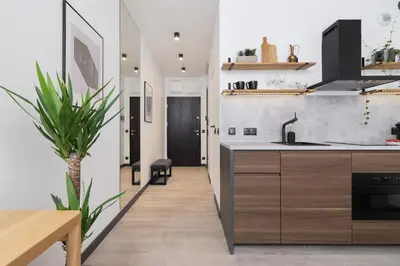 a kitchen with wooden cabinets and a potted plant at Studio apartment - Rakowicka 14 Street in Kraków