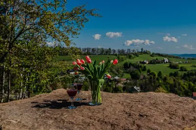 a vase of flowers and a glass of wine on a rock at Dom z bali - Serafinówka in Tęgoborze