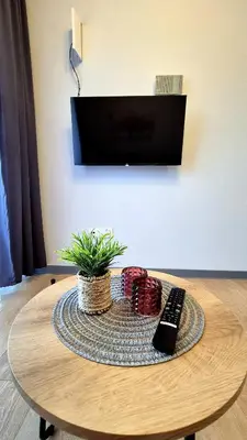a table with a remote control and a plant on it at Moonlight by Housine in Zator