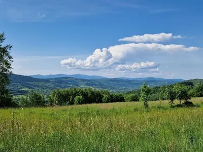 a field of grass with mountains in the background at Domek na Grządce in Bieńkówka