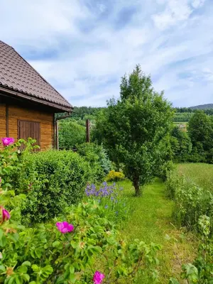 a garden with pink flowers and a house at Domek na Grządce in Bieńkówka