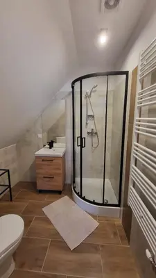 a bathroom with a shower and a sink at Stylove Apartamenty in Kocierz Rychwałdzki