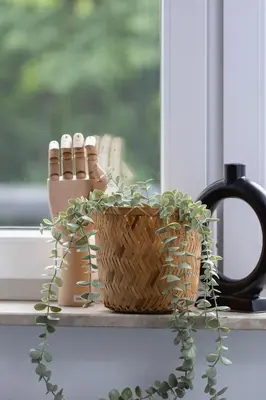a plant in a basket next to a window at Eklsuzywny Apartament z Parkingiem w Krakowie by Renters Prestige in Kraków