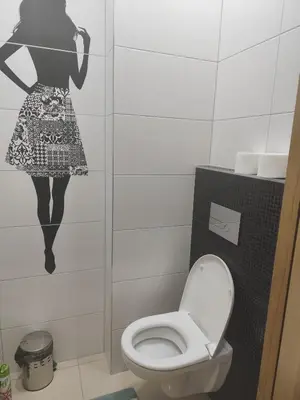 a bathroom with a toilet and a woman on the wall at Apartament Deluxe w centrum Brzeska nr 2 in Brzesko