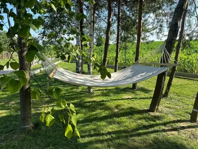 a hammock in a yard with trees at Dom z jacuzzi & tarasem całoroczny do 10 osób DOM NA PROMOWEJ - LAS, Zator in Zator