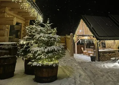 a christmas tree with lights in a cabin at Bale na Skale Chata & SPA-Zawoja in Skawica
