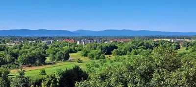 a view of a park with trees and buildings at Green apartament 21 in Oświęcim