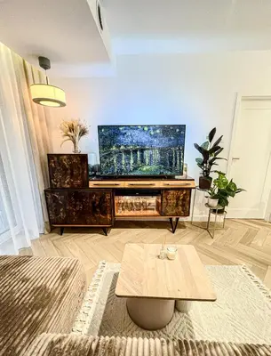 a living room with a flat screen tv on a entertainment center at Charming Apartment in a green area- free parking in Kraków