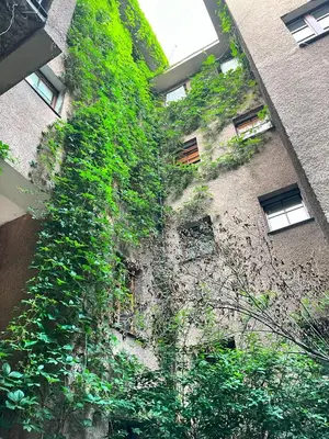 a building with ivy growing on the side of it at Large Apartment 2 bedrooms and living room, Kazimierz District in Kraków