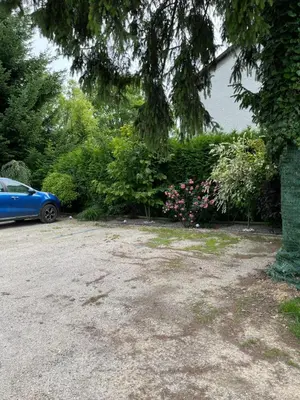 a blue car parked in a driveway next to a tree at Apartament ogrodowy in Miechów