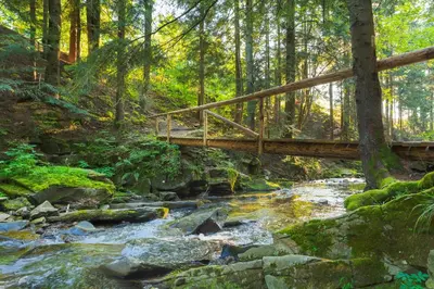 a wooden bridge over a stream in a forest at Osada Poli Zawoja - Panoramiczny Domek z Prywatną Balią i Hydromasażem in Skawica