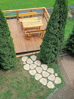 a wooden bench sitting next to two trees at Dom pod Krakowem - zacisze wsi 20 minut samochodem od centrum Krakowa in Pekowice