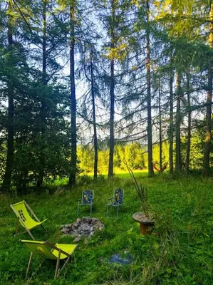 a group of chairs and a fire pit in the woods at Grapa - Magiczna Leśna Chata in Skawica
