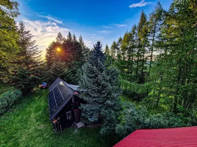 a small house in the middle of a forest at Grapa - Magiczna Leśna Chata in Skawica