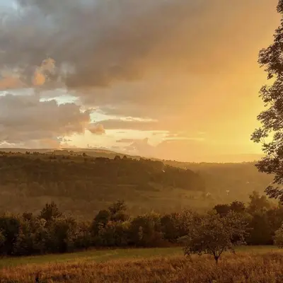 a sunset in a field with trees and grass at Pod lasem i niebem in Lanckorona