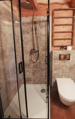 a bathroom with a shower and a toilet at Pod lasem i niebem in Lanckorona