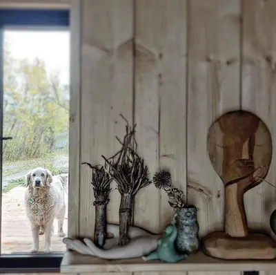 a dog standing in a room with vases on a shelf at Pod lasem i niebem in Lanckorona