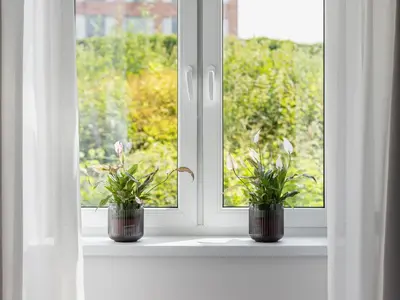 two potted plants sitting on a window sill at Studio Apartment - Radziwiłłowska 27 in Kraków