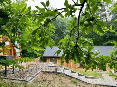 a view of a backyard with a table and chairs at Rogaty Domek przy Bobrowisku in Kornatka