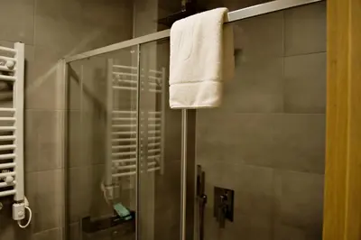 a bathroom with a shower with a towel on a pole at Nadwiślańska Apartments - Lipowa, 11km od Zator, Energylandia in Zator