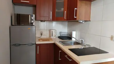 a small kitchen with a sink and a refrigerator at Centrum Apartments in Kraków