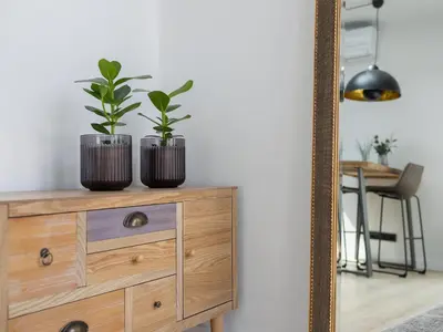 two plants on a dresser in front of a mirror at Apartment in Kazimierz District - Starowislna 43 in Kraków