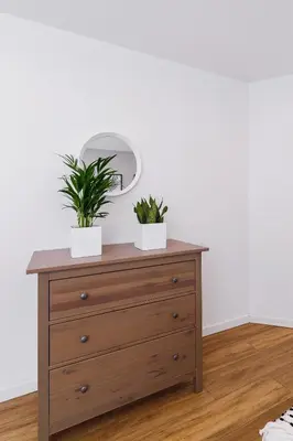 a dresser with two potted plants on top of it at Kazimierz District - Orzeszkowej 6 Street in Kraków