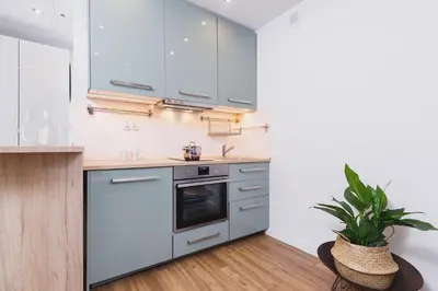 a kitchen with stainless steel appliances and a potted plant at Kazimierz District - Orzeszkowej 6 Street in Kraków