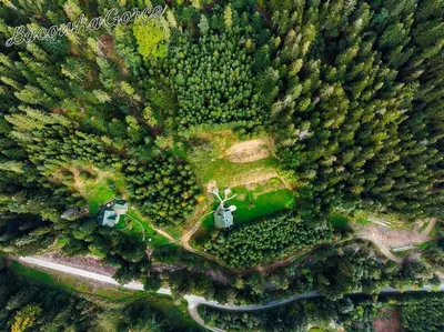 an aerial view of a forest with two tractives at Prawdziwy domek w górach in Nowy Targ