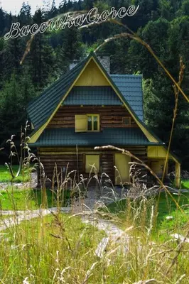 a log cabin with a blue roof in a field at Prawdziwy domek w górach in Nowy Targ