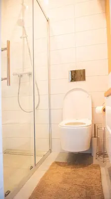 a bathroom with a toilet and a shower at Apartament Słoneczny Rabka Zdrój in Rabka-Zdroj
