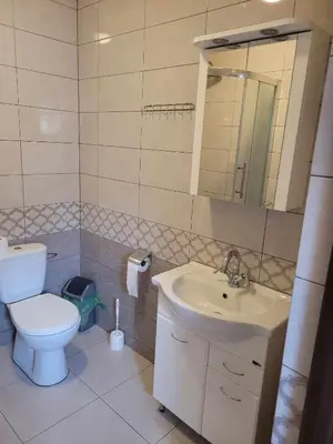 a bathroom with a toilet and a sink and a mirror at Jelonek Zawoja in Zawoja